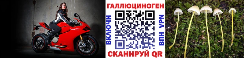 Галлюциногенные грибы GOLDEN TEACHER  omg как войти  Тавда 