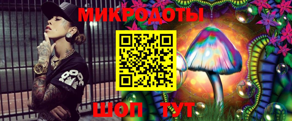 Псилоцибиновые грибы Psilocybe  Вход с VPN  Тавда  Галлюциногенные грибы Psilocybe 