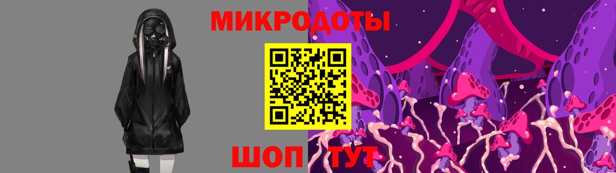 Псилоцибиновые грибы мицелий Тавда